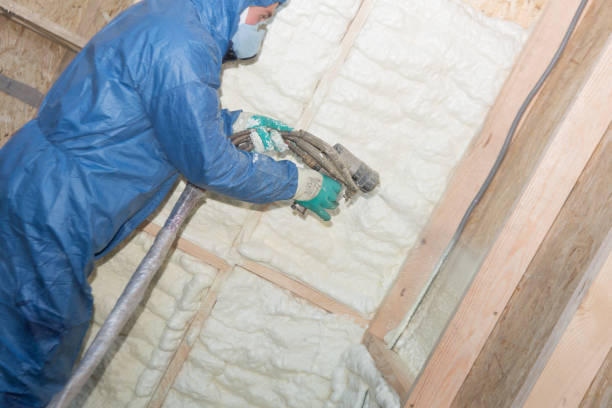 Best Spray Foam Insulation  in Graysville, TN